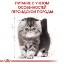 Фото - сухой корм Royal Canin KITTEN PERSIAN 32 (КИТТЕН ПЕРСИАН) корм для котят от 4-12 месяцев