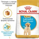 Royal Canin LABRADOR RETRIEVER PUPPY (ЛАБРАДОР РЕТРИВЕР ПАППИ) корм для щенков до 15 месяцев