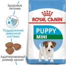 Royal Canin MINI PUPPY корм для цуценят дрібних порід від 2 до 10 місяців