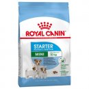 Royal Canin MINI STARTER MOTHER & BABYDOG корм для беременных и кормящих сук и щенков мини-пород