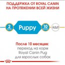 Royal Canin PUG PUPPY (МОПС ПАППИ) корм для щенков до 10 месяцев