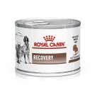 Royal Canin RECOVERY (РЕКАВЕРИ) лечебный влажный корм для собак и кошек 195 г