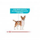 Фото - вологий корм (консерви) Royal Canin URINARY CARE вологий корм для собак із чутливою сечовидільною системою