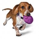 Trixie (Трикси) ДИСК-КОРМУШКА игрушка для собак
