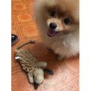 Trixie (Трикси) СОБАКА-ПИЩАЛКА игрушка для собак, плюш (35930)