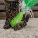 Фото - іграшки Trixie ВИБРИРУЮЩАЯ ЛЯГУШКА игрушка для кошек (46017)