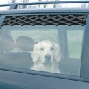 Фото - аксессуары в авто Trixie Ventilation Lattice - Решетка на автомобильное окно для перевозки собак
