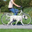 Фото - велоаксессуары Trixie Bicycle and Jogging Leash - Поводок для собак при езде на велосипеде (1282)