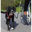 Фото - велоаксессуары Trixie Biker-Set - Велонабор для собак с креплением к велосипеду (1287)