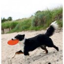 Фото - іграшки Trixie DOG DISC (ДИСК ФРІСБІ) іграшка для собак