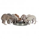 Фото - миски, напувалки, фонтани Trixie Puppy Bowl - Миска для цуценят з нержавіючої сталі