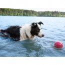 Фото - іграшки West Paw BOZ DOG BALL іграшка-м'яч для собак МАЛЕНЬКИЙ