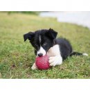 Фото - игрушки West Paw BOZ DOG BALL игрушка-мяч для собак МАЛЕНЬКИЙ