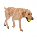 Фото - іграшки West Paw JIVE DOG BALL супер м'яч, іграшка для собак ВЕЛИКИЙ