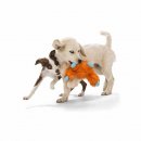 Фото - игрушки West Paw Rowdies JEFFERSON игрушка для собак