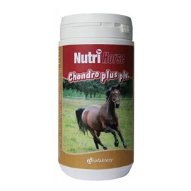 НУТРИ ХОРСЕ ХОНДРО (NutriHorse Chondro) - добавка для лошадей в порошке, 1 кг
