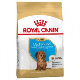 Royal Canin DACHSHUND PUPPY (ТАКСА ПАППИ) корм для щенков до 10 месяцев