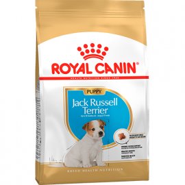 Royal Canin JACK RUSSELL PUPPY (ДЖЕК РАССЕЛ ПАППІ) корм для цуценята до 10 місяців