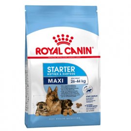 Royal Canin MAXI STARTER MOTHER & BABYDOG корм для вагітних і годуючих сук і цуценят великих-порід
