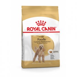 Royal Canin POODLE ADULT (ПУДЕЛЬ ЭДАЛТ) корм для собак от 10 месяцев
