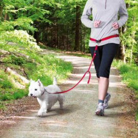 Trixie WAIST BELT WITH LEASH поводок с поясным ремнем для мелких и средних собак (12765)