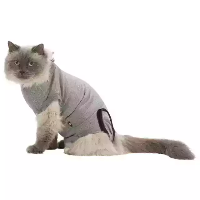 Collar Послеоперационная попона для кошек и собак, синяя